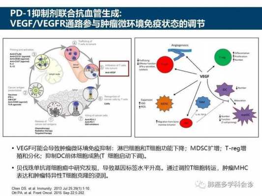 肿瘤免疫治疗生物技术（肿瘤免疫治疗进展前景）-图3