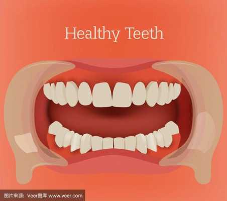 健康的大牙齿图片（健康的大牙是什么样的）-图3