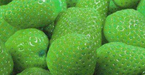绿色的健康水果小吃（绿色水果对身体有哪些好处）-图2