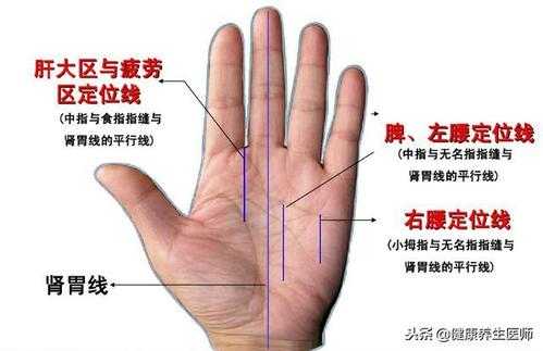 看手纹知健康叫什么（看手纹看身体健准吗）-图3
