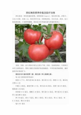 番茄中的健康元素（番茄里面的营养素）