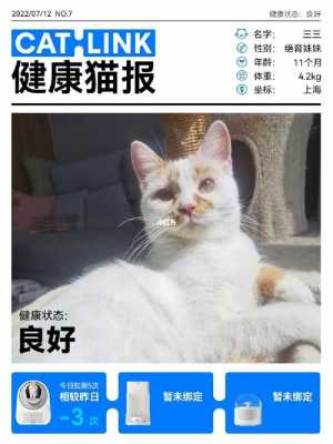 广州健康猫（广州健康猫现状）