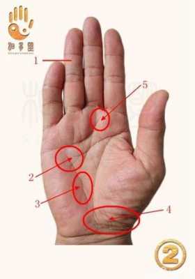 手掌纹健康线图解（手掌纹 健康线）