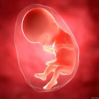 胎儿是否健康孕妇的感觉（胎儿健康吗）