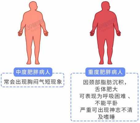 肥胖对人体健康的影响（肥胖对人体健康的影响论文）