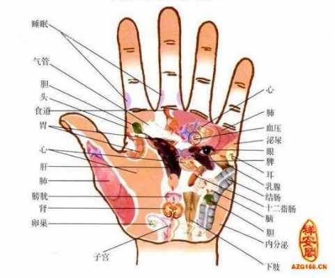 通过手看健康（通过手看身体健康）-图1