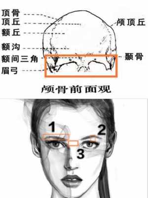 眉骨与健康（眉骨是在哪个位置）-图3